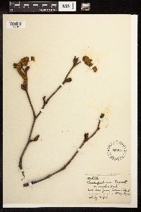 Image Associated With the Occurrence