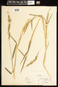 Image Associated With the Occurrence