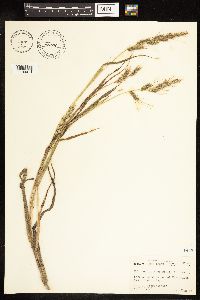 Image Associated With the Occurrence