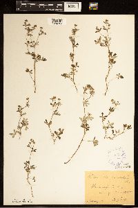 Image Associated With the Occurrence