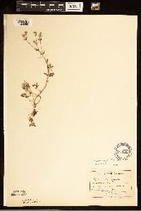 Image Associated With the Occurrence