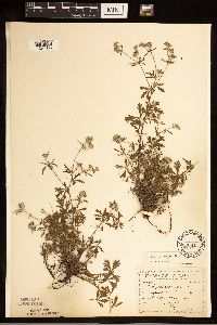 Image Associated With the Occurrence