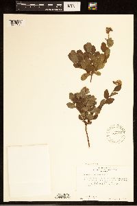 Image Associated With the Occurrence