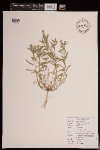 Image Associated With the Occurrence