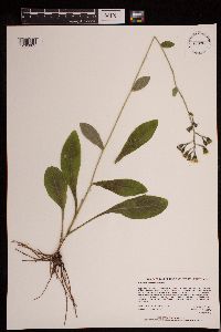 Image Associated With the Occurrence