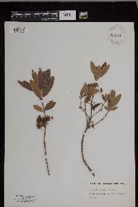 Image Associated With the Occurrence