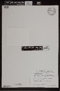 Image Associated With the Occurrence