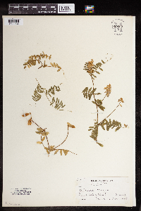 Image Associated With the Occurrence