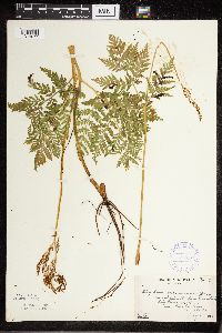 Image Associated With the Occurrence