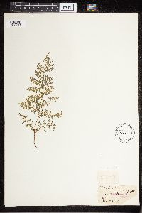 Image Associated With the Occurrence