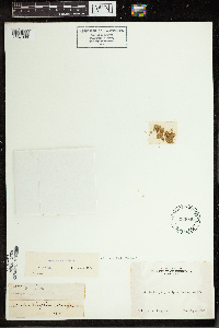 Image Associated With the Occurrence