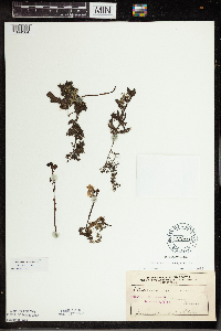 Image Associated With the Occurrence