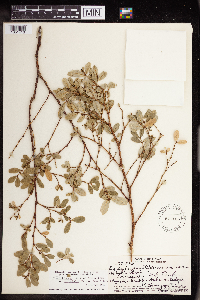 Image Associated With the Occurrence