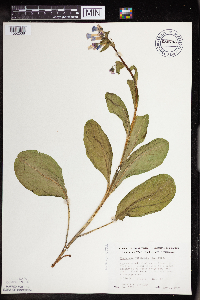 Image Associated With the Occurrence