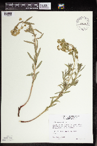 Image Associated With the Occurrence