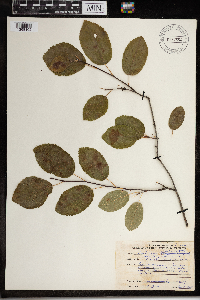 Image Associated With the Occurrence