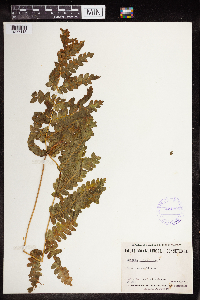 Image Associated With the Occurrence