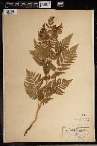 Image Associated With the Occurrence