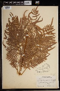 Image Associated With the Occurrence