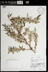 Image Associated With the Occurrence