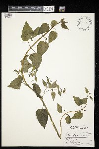 Image Associated With the Occurrence