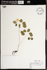 Image Associated With the Occurrence