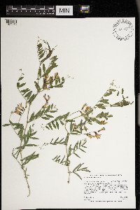 Image Associated With the Occurrence