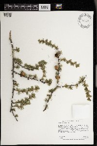 Image Associated With the Occurrence