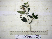 Image Associated With the Occurrence