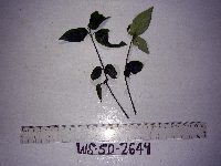 Image Associated With the Occurrence