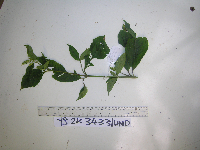 Image Associated With the Occurrence