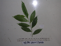 Image Associated With the Occurrence