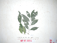 Image Associated With the Occurrence