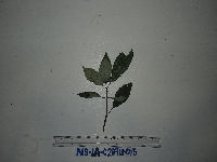 Image Associated With the Occurrence