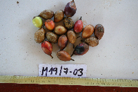 Image Associated With the Occurrence