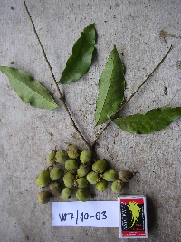 Image Associated With the Occurrence