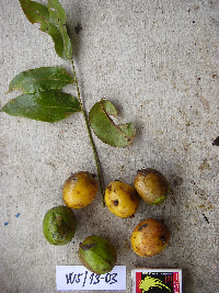 Image Associated With the Occurrence