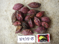 Image Associated With the Occurrence