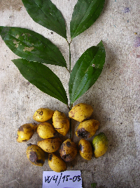 Image Associated With the Occurrence