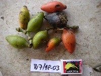 Image Associated With the Occurrence