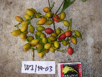 Image Associated With the Occurrence