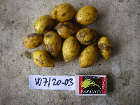 Image Associated With the Occurrence