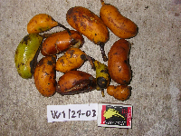 Image Associated With the Occurrence