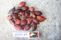 Image Associated With the Occurrence