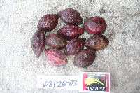 Image Associated With the Occurrence