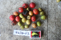 Image Associated With the Occurrence