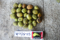 Image Associated With the Occurrence