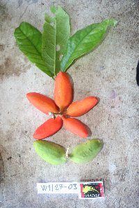 Image Associated With the Occurrence