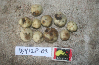 Image Associated With the Occurence