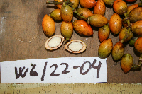 Image Associated With the Occurrence